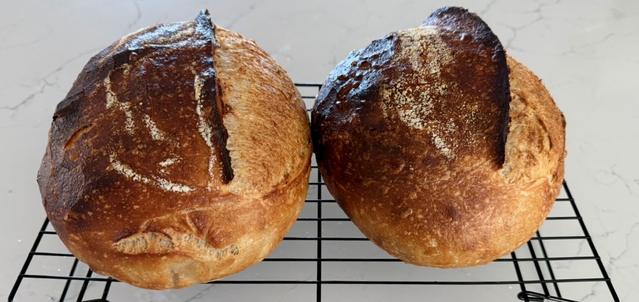 A photo of two loaves of sourdough